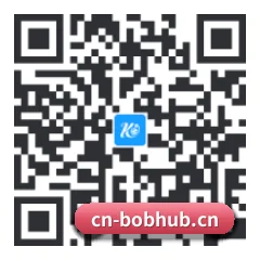 系统版 Android 二维码